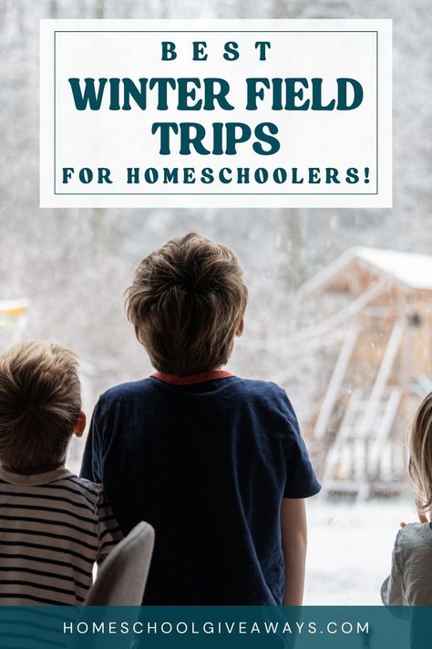 winter field trips for homeschoolers Winter Homeschool, Diy Homeschool, Field Trip Ideas, Homeschool Field Trips, Cheap Things To Do, Field Trips, Winter Break, Cabin Fever, Homeschool Curriculum