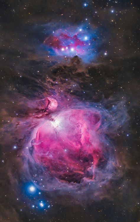 Amateur astrophotography image of the Orion Nebula through a telescope. Hubble Space Telescope Pictures, Space Pics, Nebula Wallpaper, Collage Material, Space Phone Wallpaper, Nebulas, Space Stuff, Orion Nebula, Space Artwork