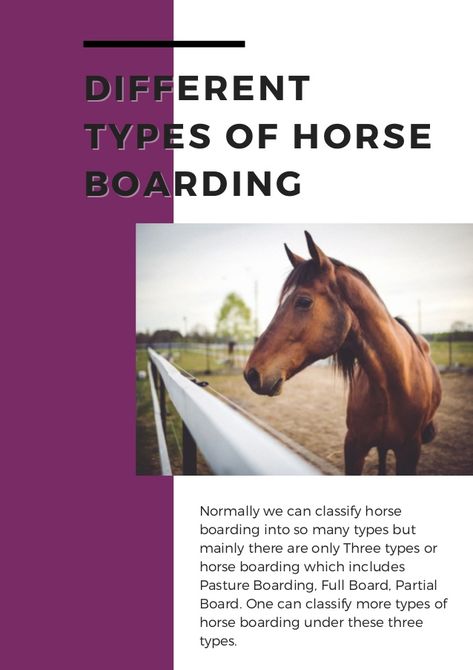 Looking for a best home for your horse for the night or long-term in the event of travel, work, etc.? Horse boarding professionals provide a comfortable space to keep your four-legged friends safe, happy and entertained while you are away. There are mainly three boarding options: Partial board, Full Board and Pasture Board. Read here about different boards and then choose suitable boarding for your horse. #Types of horse boarding, #Horseboardingtypes #typesofhorseboarding #FullHorseBoard Horse Types, Buying A Horse, Boarding Facility, Horse Farm Ideas, Horseback Riding Lessons, Buy A Horse, Indoor Arena, Types Of Horses, Horse Boarding