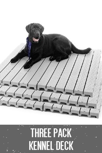 Dog Kennel Set Up Ideas, Kennel Decking, Dog House Ideas Indoor, Dog Yard Ideas Backyards, Dog Yard Ideas, Dog Yards, Dog Kennel Mats, Collar Display, Dog House Ideas