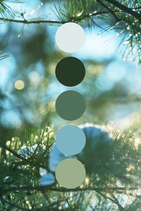 Green Winter Color Palette, Dark Green And Light Blue Aesthetic, Winter Green Color Palette, Dark Green Light Blue Color Palette, Fall Green Color Palette, Boho Winter Color Palette, Oregon Color Palette, Blue Green Neutral Palette, Holiday Color Scheme