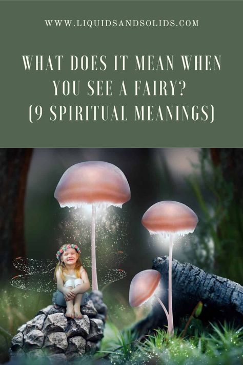 What Does It Mean When You See A Fairy? (9 Spiritual Meanings) Fairy Meaning, Fairies Mythology, Greedy People, The Fae, Pixies Fairies, Celtic Mythology, The Supernatural, Fairy Godmother, Spiritual Meaning