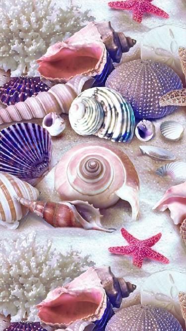 Art Coquillage, Ocean Treasures, She Sells Seashells, Ocean Wallpaper, 背景 シンプル, Beach Wallpaper, Beautiful Nature Wallpaper, Summer Wallpaper, Tasty Food Videos