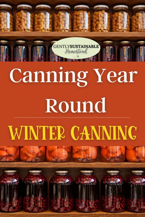 Winter Canning, Canning Jar Storage, Water Bath Canning Recipes, Pressure Canning Recipes, Canning 101, Home Canning Recipes, Canning Vegetables, Canning Food Preservation, Canned Food Storage