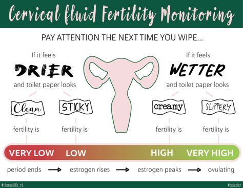 Ovulatory Cycle, Fertility Awareness Method, Getting Pregnant Tips, Natural Family Planning, Cervical Mucus, Fertility Awareness, Fertility Health, Fertility Diet, Get Pregnant Fast