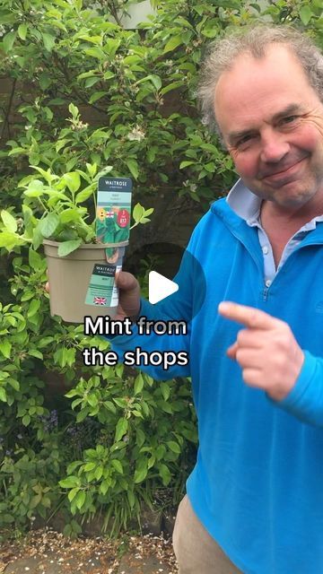 Simon Akeroyd on Instagram: "How to propagate mint from cuttings. Mint can also be divided to create extra plants. Just don’t plant mint directly in the ground, whatever you do! It spreads like crazy!  #growyourown #gardening #gardeninghack" How To Propagate Mint, How To Plant Mint, Propagate Mint, Mint Garden, Growing Mint, Mint Plants, Garden Hacks, Garden Food, Gardening Hacks