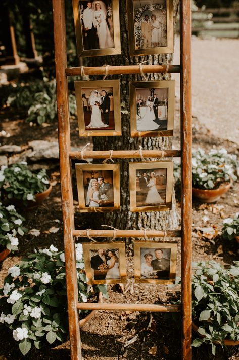 Memorial Ladder Wedding, Wedding Photo Board Display, Memory Ladder Wedding, Ladder Photo Display, Ladder Wedding Decor, Classy Country Wedding, Photo Ladder, Vintage Engagement Party, Ladder Wedding