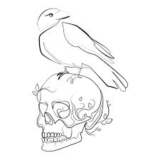 Raven On Skull Drawing, Raven Line Drawing, Crow Line Art, Raven On Skull, Skull Black And White, Gothic Illustration, Liner Design, Illustration Minimal, White Gothic