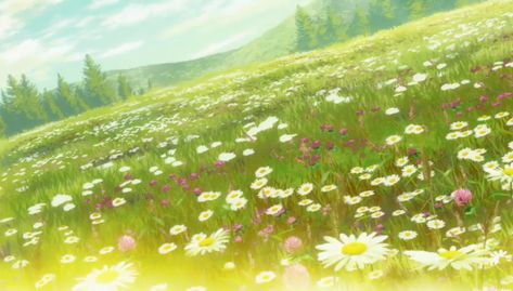 Anime Wolf Drawing, Anime Scenes, Wolf Children, Anime Places, Grassy Field, Laptop Backgrounds, Vinland Saga, Anime Wolf, Beautiful Places Nature