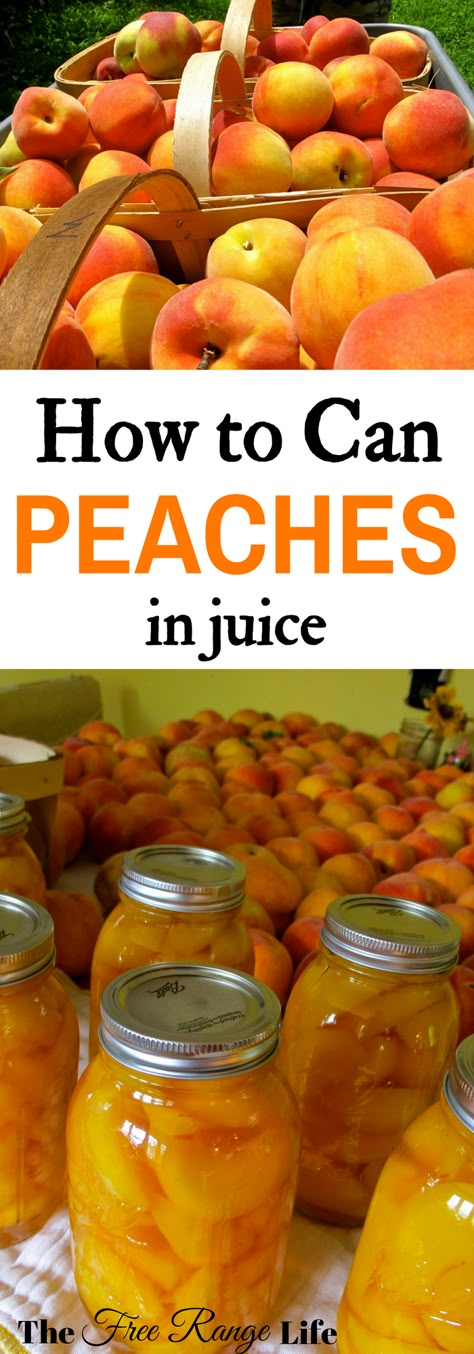 Preserve peaches at home! Learn how to can peaches in juice to preserve them all year long! Preserve Peaches, How To Can Peaches, Can Peaches, Canning Peaches, Canning 101, Canning Fruit, Home Canning Recipes, Canning Vegetables, Canning Food Preservation