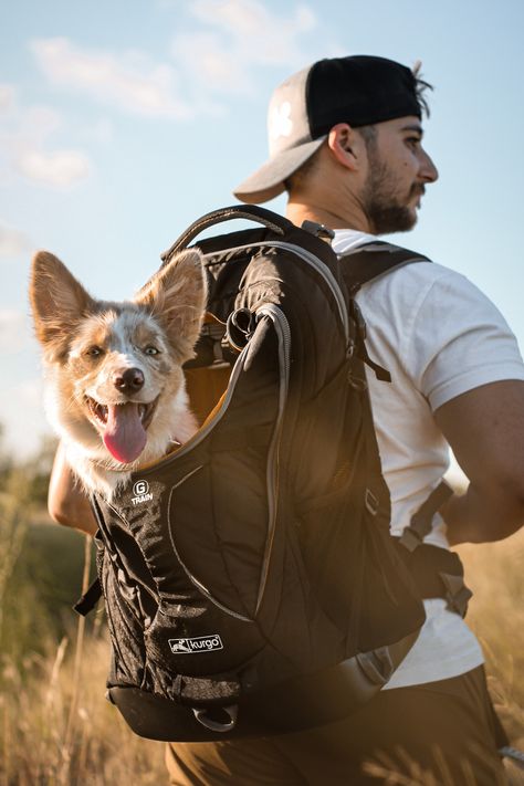 Friendly Branding, Dog Backpack Carrier, Human Back, Inktober 2024, Pet Backpack, Hiking Dogs, Dog Backpack, Pet Bag, Commute To Work