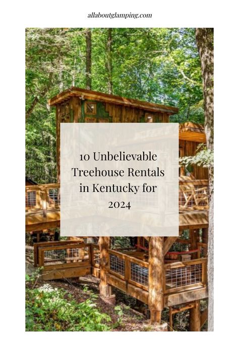 Treehouse Rentals in Kentucky are so popular for Glamping in Kentucky that folks from all over the USA search for these magical accommodations Corbin Kentucky, Treehouse Rentals, Red River Gorge Kentucky, Kentucky Vacation, Couples Trip, Daniel Boone National Forest, Cumberland Falls, Kentucky Travel, Red River Gorge