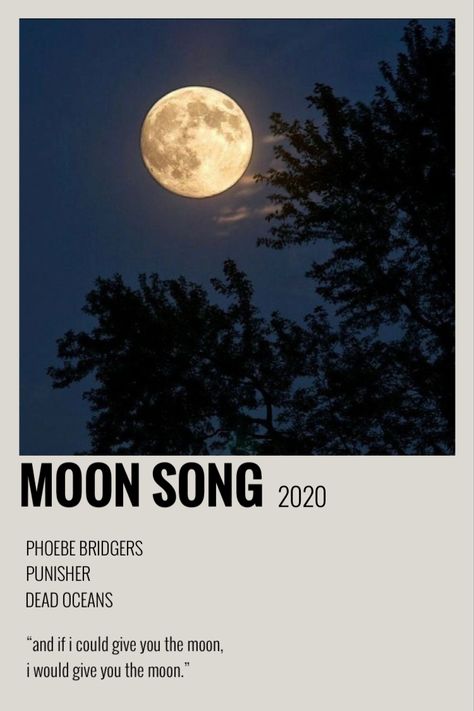 Phoebe Bridgers Polaroid, Moon Song Phoebe Bridgers, Song Polaroid, Hello Song, Polaroid Wall, Harry Styles Poster, Vintage Music Posters, Moon Song, Music Collage