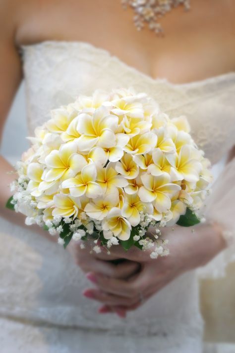 Frangipani Flower Bridal Bouquet Bali Wedding Flowers, Plumeria Wedding Decorations, Frangipani Wedding Bouquet, Plumeria Flower Bouquet, Frangipani Wedding Decorations, Plumeria Bouquet Wedding, Plumeria Bridal Bouquet, Wedding Bouquets Frangipani, Bridal Bouquet Hawaii