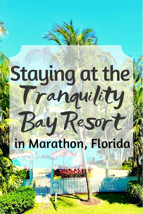 All You Need to Know about Staying at Tranquility Bay Beachfront Resort, Marathon Key Florida Keys Hotels, Marathon Florida Keys, Florida Keys Resorts, Marathon Key, Florida Keys Road Trip, Marathon Florida, Travel Key West, Fl Keys, Florida Trip