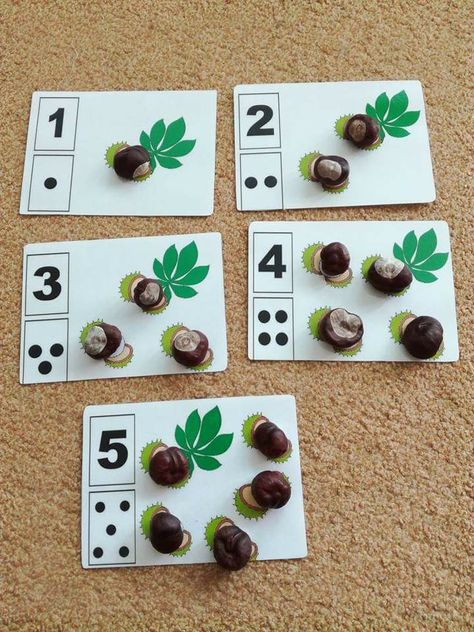 Autumn Eyfs, Fall Math Activities, Preschool Crafts Fall, Fall Preschool Activities, Fall Math, Montessori Math, Autumn Activities For Kids, Fall Preschool, Math Activities Preschool