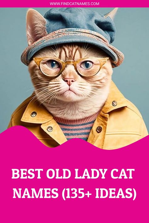 Best Old Lady Cat Names (135+ Ideas) Old Lady Names, Girl Cat Names, The Witches Of Eastwick, Old Girl Names, Long Cat, Lady Cat, Roman Goddess, Old Lady, Meow Meow