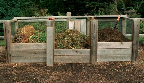 Composting Bins, Compost Bin Diy, Diy Compost, Compost Tea, Worm Composting, Garden Compost, Garden Area, Fine Gardening, Composting