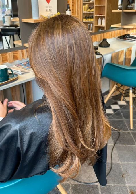 Blonde Chestnut Hair, Straight Honey Brown Hair, Auburn Hair With Honey Highlights, Honey Red Blonde Hair, Brown Hair Amber Highlights, Caramel Brown Hair Straight, Warm Brown Hair With Red Undertone, Carmel Brunette With Honey Highlights, Light Auburn Brown Hair With Highlights