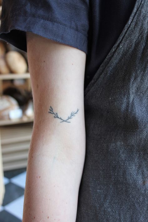 Little bicep tattoo of a wildflower. Marie Tattoo, Botanisches Tattoo, Olive Branch Tattoo, Homemade Tattoos, Small Tattoo Placement, Tato Minimal, Petit Tattoo, Branch Tattoo, Wildflower Tattoo