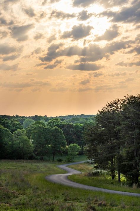 See The Sights At Land Between The Lakes National Recreation Area Kentucky Tourism, Kentucky Lake, Grassland Habitat, Land Between The Lakes, Kentucky Travel, Scenic Drive, Southern Living, Horseback Riding, Elk