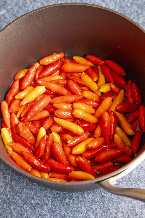 Tabasco Hot Sauce Recipe, Canning Tabasco Sauce, Diy Tabasco Sauce, How To Make Tabasco Sauce, Homemade Tabasco Sauce Recipe, Hot Sauce Recipe Homemade, Louisiana Hot Sauce Recipe, Tabasco Sauce Recipe, Tabasco Peppers