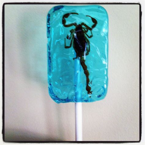 Scorpion lollipop Bug Lollipop, Scorpion Lollipop, Lollipop Tattoo, Illustration Ideas, Just Girly Things, Cute Tattoos, Scorpion, Lollipop, Girly Things