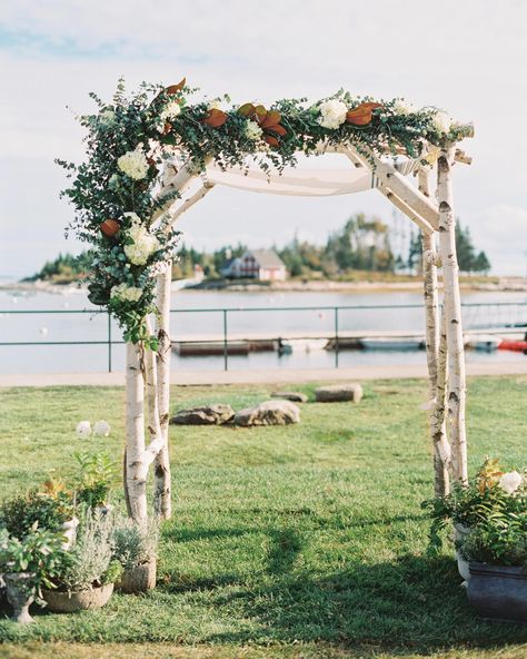 Birch Wedding Arch, Jewish Wedding Chuppah, Branch Arch Wedding, Birch Tree Wedding, Birch Wedding, Wedding Chuppah, Diy Wedding Arch, Jewish Wedding Ceremony, Wedding Branches