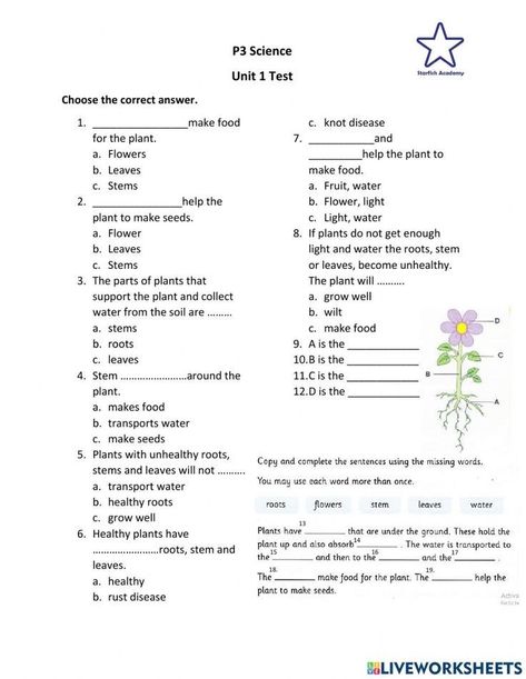 Grade 3 Science Plants Worksheets, Science Olympiad For Class 3, Science Worksheets For Grade 4, Class 4 Science Worksheet, Science Worksheets For 4th Grade, Grade 3 Science Worksheets, Grade 3 Science, Grade 2 Science, States Of Matter Worksheet