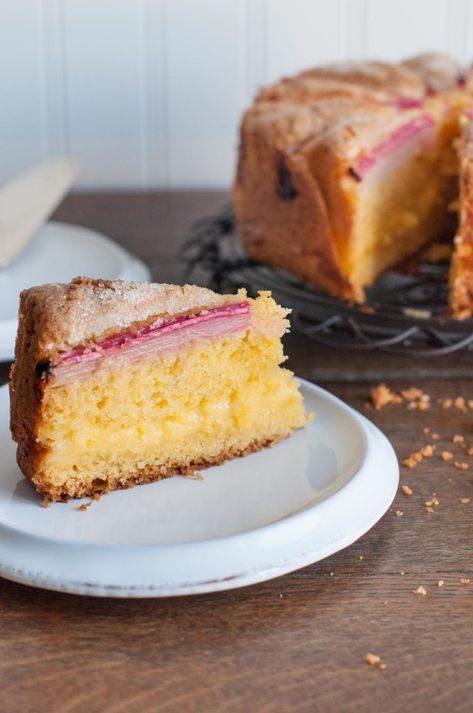 rhubarb custard tea cake Fruity Deserts, Rhubarb Custard Cake, Nectarine Cake, Allotment Recipes, Rhubarb Pudding, Rhubarb Custard, Cake Stall, Rhubarb Desserts, Springform Pan Cake