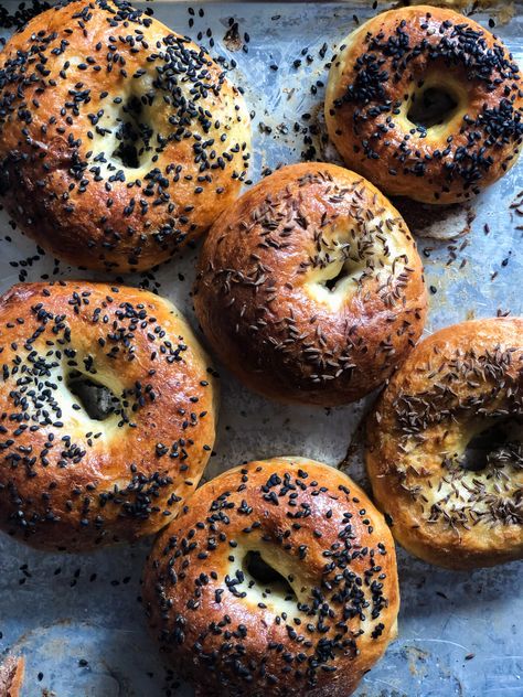 Gluten Free Bagels, Best Bagels, Homemade Bagels, Cafe Branding, Bagel Shop, Bagel Recipe, Cream Cheese Spreads, Cheese Spread, Bagels