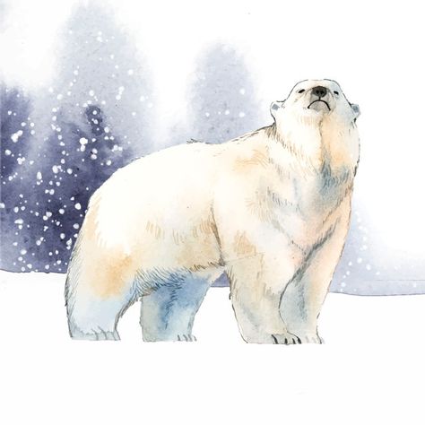 Polar Bear Paint, Forest Animals Illustration, Polar Bear Drawing, Snow Watercolor, Hand Drawn Fox, Polar Bear Illustration, Polar Bear Art, Bear Vector, Bear Watercolor