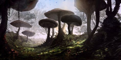 MORROWIND Elder Scrolls Morrowind, Elder Scrolls Art, Mushroom Forest, Landscape Concept, Fantasy Forest, Dark Elf, Forest Art, Mushroom Art, Landscape Scenery