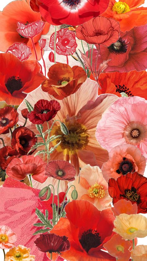 Poppies, Collage