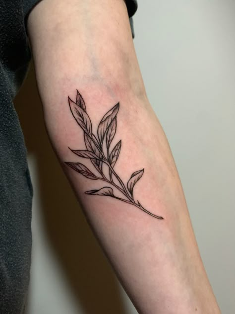 Sage leaves tattoo on me, nature, leaves, sage, healing, wisdom. Artist and design- @cali.tattoos on instagram Sage Tattoo Ideas, Sage Healing, Sage Tattoo, Leaves Tattoo, Brush Tattoo, Tattoo Filler, Branch Tattoo, Nature Leaves, Floral Tattoo Sleeve