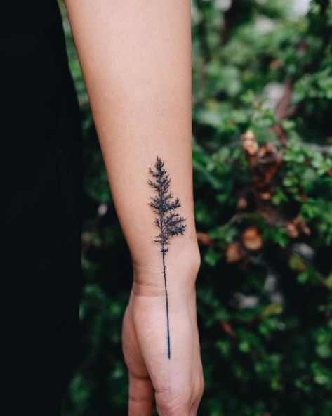 Evergreen Tree Tattoo, Tree Tattoo Meaning, Tree Sleeve Tattoo, Pine Tattoo, Tattoo Tree, Pine Tree Tattoo, Muster Tattoos, Tree Tattoo Designs, E Tattoo