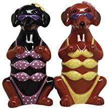 Amazon.com: novelty salt and pepper shakers Weenie Dog, Quirky Kitchen, Doxie Dogs, Weenie Dogs, Weiner Dog, Salt And Pepper Set, Wiener Dog, Dachshund Dog, Ethnic Style