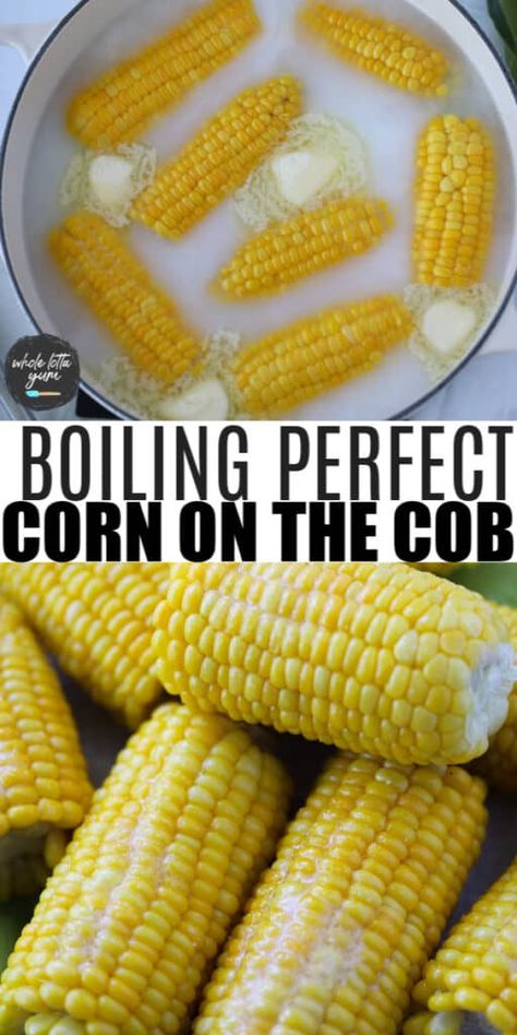 Boil Corn On Cob, Corn On The Cob Boiled, Corn On The Con, Boiled Corn On The Cob, Boiling Corn, Freezing Fresh Corn, Boil Sweet Corn, Cooking Sweet Corn, Whole Lotta Yum