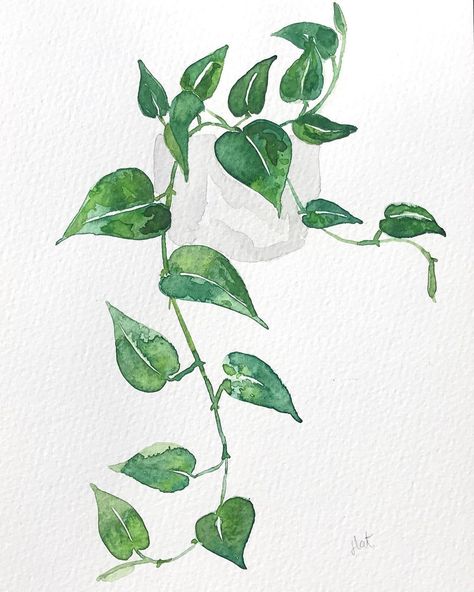 Pothos Painting Acrylic, Pothos Plant Painting, Pothos Watercolor, Watercolor Pothos, Pothos Tattoo Simple, Pothos Drawing, Pothos Tattoo, Painting Vines, Plant Painting Acrylic