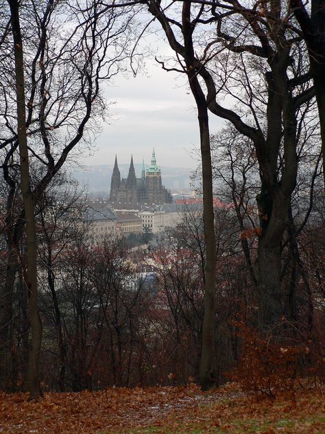 Prague Heart Of Europe, Prague Czech Republic, Prague Czech, A Castle, The Grove, Macedonia, Pretty Places, Oh The Places Youll Go, Eastern Europe