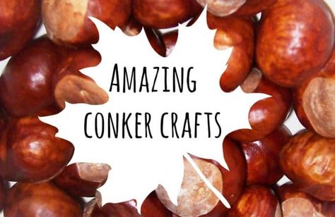 We love collecting conkers but have no idea what to do with them when we get home. Thanks to Maggy from Red Ted Art, here's a whole list of conker crafts. What To Do With Conkers, Crafts With Conkers, Buckeye Crafts Ideas, Conker Art, Conker Craft Ideas, Conker Crafts, Chestnut Crafts, Conkers Craft, Chloe Art