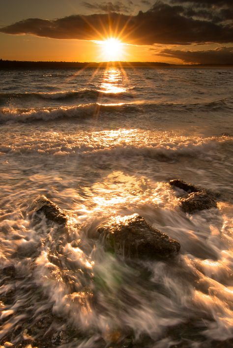 Underground Living, Magical Light, Sunset Rose, Golden Sunset, Ocean Sunset, Puget Sound, Beautiful Sunrise, Pics Art, Ocean Beach