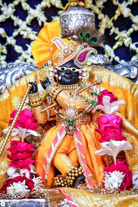 Radha Raman Ji Vrindavan Hd Wallpaper, Radharaman Lal Ju, Radharaman Ji Hd Wallpapers, Radha Raman Ji Vrindavan Hd, Radharaman Ji Aesthetic, Radhe Krishna Wallpapers Hd Wallpaper, Radha Raman Ji Vrindavan, Radhavallabh Ji, Radha Raman Ji