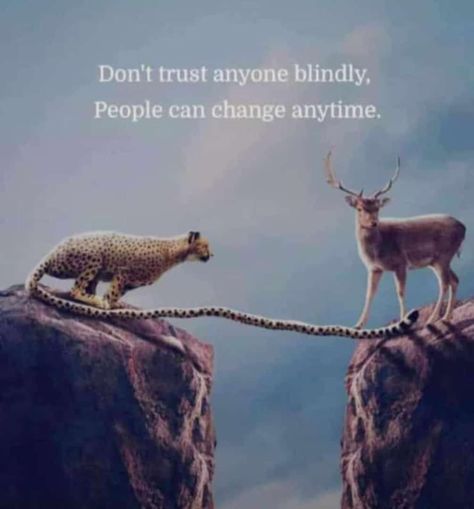 Don't trust anyone Don’t Trust Nobody Quotes, Don’t Know Who To Trust, When You Don’t Trust Anyone, You Really Can’t Trust Anyone, I Don’t Trust Words I Trust Actions, Trusting People, Don't Trust Anyone, Never Trust Anyone, People Can Change