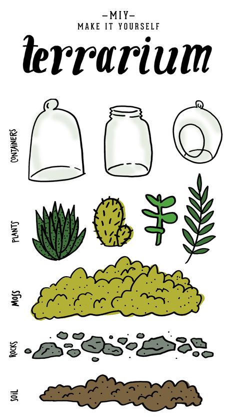 Make-It-Yourself Gifts: Terrarium Kit | East Coast Creative Tic Tac Terrarium, Tictac Terrarium, Terrarium Packaging, Terrarium Kit Gift, Terrarium Workshop, Dinosaur Decor Bedroom, Diy Terrarium Kit, Terrarium Jar, Terrarium Supplies