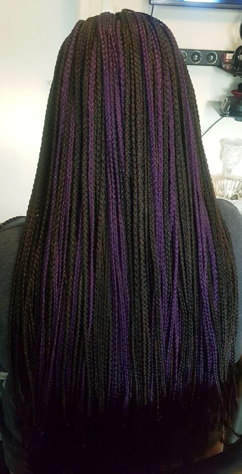 Black Braids With Purple Highlights, Two Colour Box Braids, Purple And Black Hair Braids, Braided Hairstyles Purple, Braids With Purple Highlights, Dark Purple Box Braids, Purple And Black Box Braids, Purple Peekaboo Braids, Dark Purple Braids