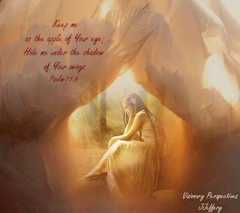 Keep me as the apple of Your eye; hide me in the shadow of Your wings.  Psalm 17:8 Keep Me As The Apple Of Your Eye Psalms, Psalm 17 8, Psalm 17, Shadow Wings, Woord Van God, Book Of Psalms, Under The Shadow, Bride Of Christ, Daughters Of The King