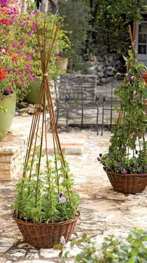 With the Willow Obelisk, you can grow flowering vines anywhere. Dress up an entryway or patio by planting with sweet peas, black-eyed Susan vine, mandevilla or other compact vines. A liner keeps soil contained. 21" dia. x 61" H. Holds 24 quarts. of planting mix. Obelisk Planter, Obelisk Trellis, Willow Garden, Diy Garden Trellis, Garden Obelisk, Garden Vines, Have Inspiration, Garden Containers, The Secret Garden