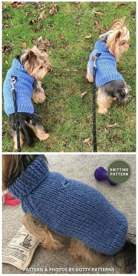 Dog Jumper Pattern, Dog Jumper Knitting Pattern, Knitting Patterns For Dogs, Crochet Dog Sweater Free Pattern, Dog Jacket Patterns, Knitted Dog Sweater, Knitted Dog Sweater Pattern, Knitting Patterns Free Dog, Large Dog Sweaters