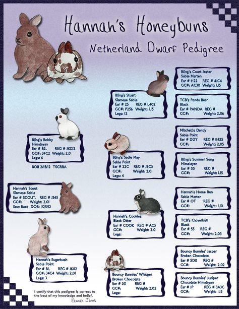 rabbit pedigree design Rabbit Schedule, Rabbit Breeding Chart, Rabbit Pedigree Template, Rabbit Knowledge, Rabbit Record Keeping, Rabbit Pedigree, Mini Lop Rabbit, Diy Rabbit Cage, Rabbit Pen